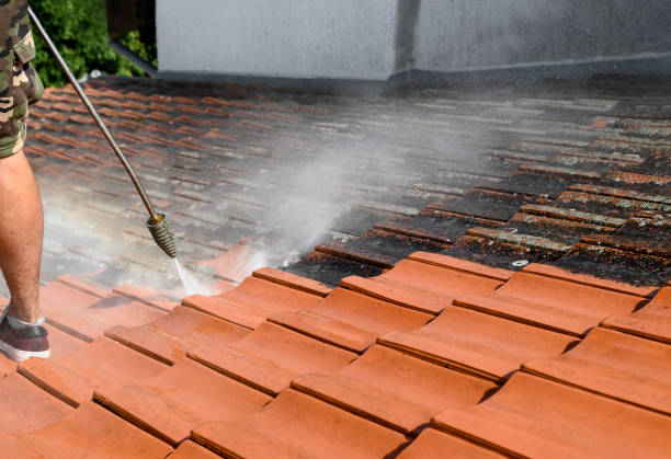 Best Pressure Washing Services Near Me  in Beaumont, TX