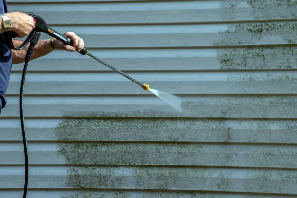 Best Affordable Power Washing  in Beaumont, TX