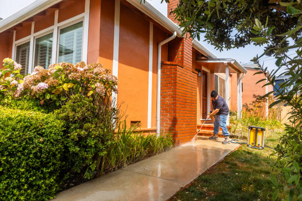 Best Roof Power Washing Services  in Beaumont, TX