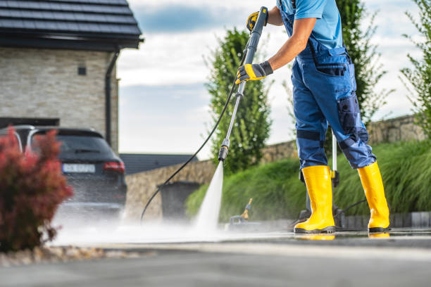 Best Local Pressure Washing Services  in Beaumont, TX